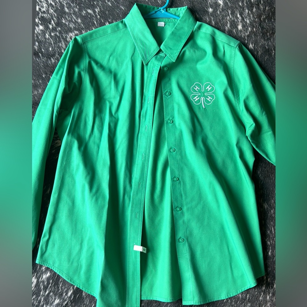4h button down